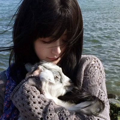 芙蓉映照千秋岁